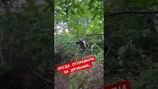 Без топора лес валит)) #2х4такта #эндуро #питбайк #эндуропокатушки #enduro #мото