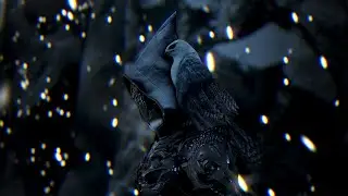 BDO 310 AP Kutum Wizard Underwater Amazing 3v3 !
