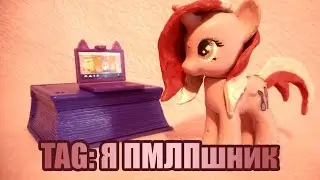TAG: Я ПМЛПшник