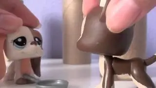 Lps: Tangled Part 2