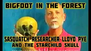 BIGFOOT IN THE FOREST - SASQUATCH RESEARCHER LLOYD PYE