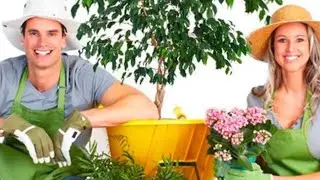 3. Подготовка почвы с 