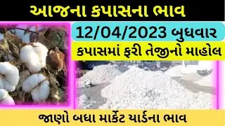 Kapas na bhav | 12-04-2023 | કપાસ ના ભાવ | કપાસના બજાર ભાવ | Cotton price today