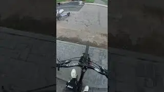 Птичка насвистела