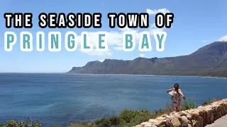 AN ESCAPE TO PRINGLE BAY