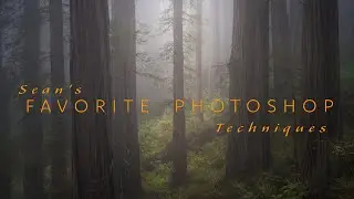 Sean's FAVORITE PHOTOSHOP Techniques. Announcing A New Video Course!