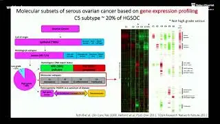 HO G (2018): Exploring the MYCN pathway in ovarian cancer ...