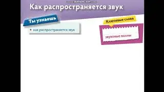 Урок естествознания в 1 классе по теме: Как распространяется звук?