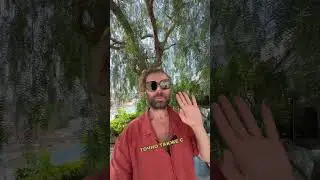 Исцеление органов, Любовь, Ци, код Бога