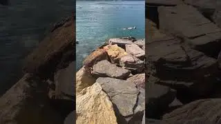 Ктм говно?) 