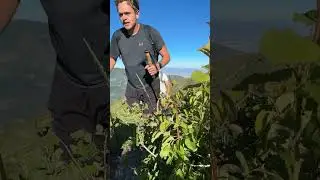 Uth Hiking - Hike - To Loafer Mountain area and Santaquin Peak