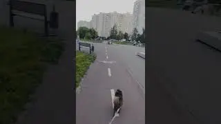 Москва Бирюлево вечер