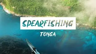 Diving Around the World | Tonga