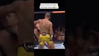 Pereira vs. Strickland: Sparring vs. Fighting - A Comparative Study #AlphaClips  #SparringVsFighting