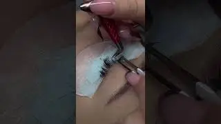 Do you also like the grafting effect of wetlash？