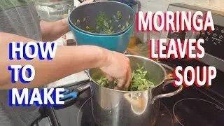 How to make Moringa Soup from Moringa leaves with chicken stok GardenHula