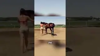 When the Horse Understands Everything