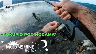 POKUPIO POD NOGAMA - Varaličarenje Soma u Đerdapu