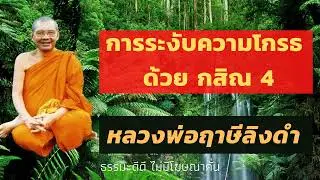 การระงับความโกรธ ด้วย กสิณ 4 | หลวงพ่อฤาษีลิงดํา วัดท่าซุง