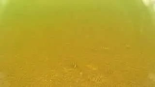 Окуневая рыбалка, март. Волга, Ульяновск. Подводные съемки