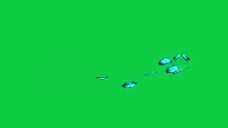 Butterfly Green Screen 4K