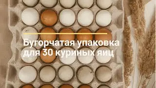 Бугорчатая упаковка для 30 куриных яиц | SHKOLHOZ