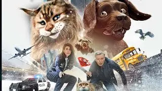 הכלב והחתולה המרדף המטורף טריילר בקולנוע החל מה-18/4