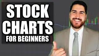 How to Read Stock Charts for Stock Trading