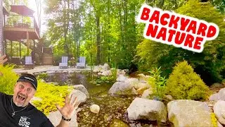 Best Pond System For your Home