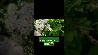 Интересно...