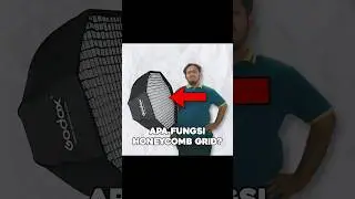APA FUNGSI HONEYCOMB GRID???