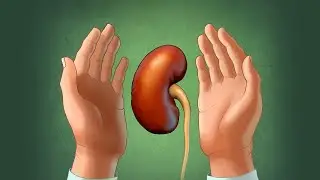 Ulecz Swoje Nerki Tradycyjną Chińską Medycyną #1