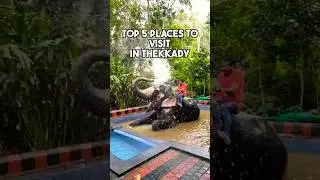 Top 5 Must-Visit Places in Thekkady | YouTube Shorts 