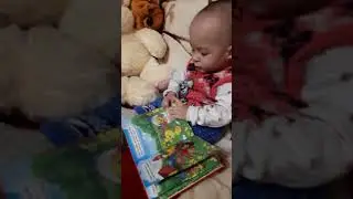 Редкие минуты тишины))) читаем