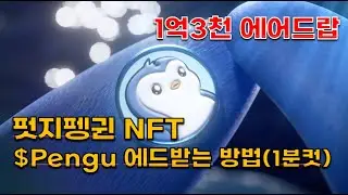 펏지펭귄 NFT TGE, $PENGU 코인 에어드랍 받는 방법 1분컷(펭구코인,펭구, PudgyPenguins)
