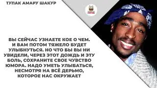 Высказывания про юмор
