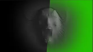 Ghost Video Overlay Free Download