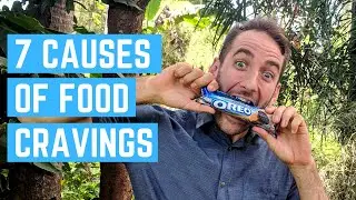 7 Causes of Food Cravings