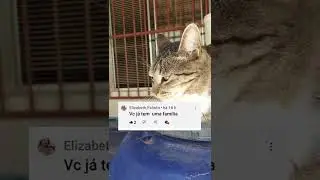 Hannah responde os comentários... #parte1