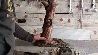 log lamp