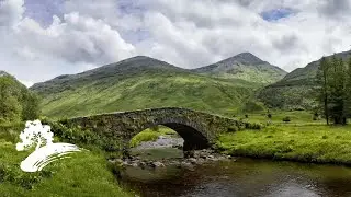 Upbeat Celtic Music [St. Patrick's Day Visualizer]