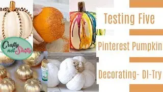 Testing 5 Pinterest Pumpkin Decorating HACKS