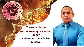 Lecture 4 Autosomal recessive inheritance pattern.