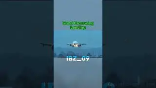 Crosswind landings. #aviation #avgeek #crosswindlanding #fyp #edit