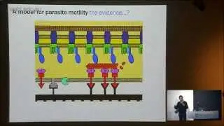 Baum J (2013): The bionic parasite