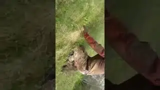 ПО БАНДЕРОВЦАМ ОГОНЬ!