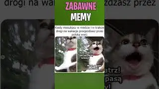 rel memy #shorts #memes #memy