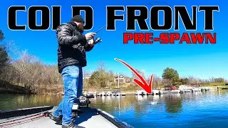 One Bait Dominates COLD FRONT Bass