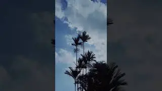 KELEMAHAN kalo lagi healing #iphone #shorts #photography #viral