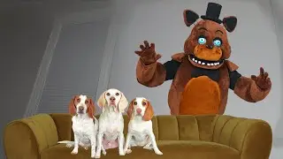 Dogs Not Scared of Freddy Fazbear in Real Life: Funny Dogs vs FNAF Character